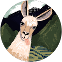 sanju ojha profile picture